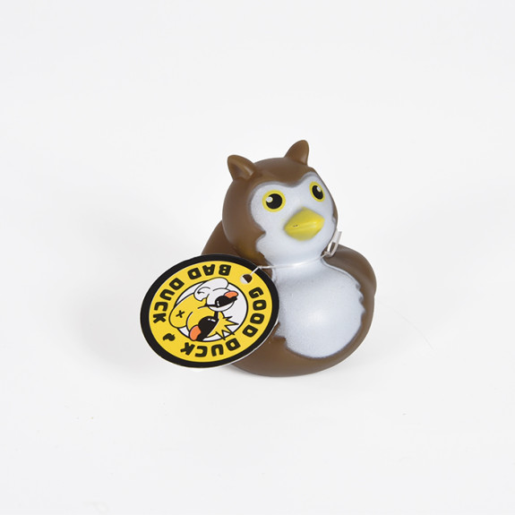 Owl Duck